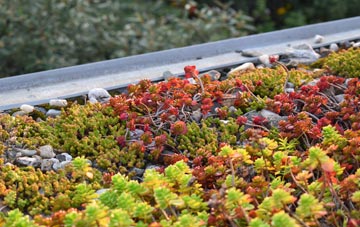 the cost of Lanteglos Highway green roof installation