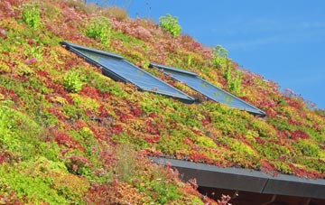 Lanteglos Highway living roof systems