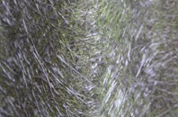 Lanteglos Highway fibreglass roof work