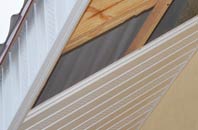 rated Lanteglos Highway soffit repair companies